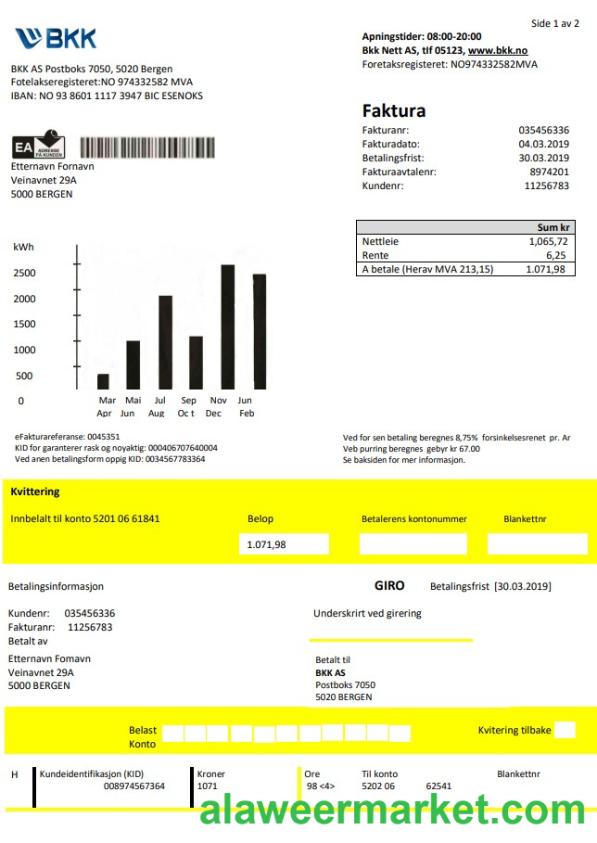 Norway BKK electricity utility bill template in Word and PDF format, good for address prove